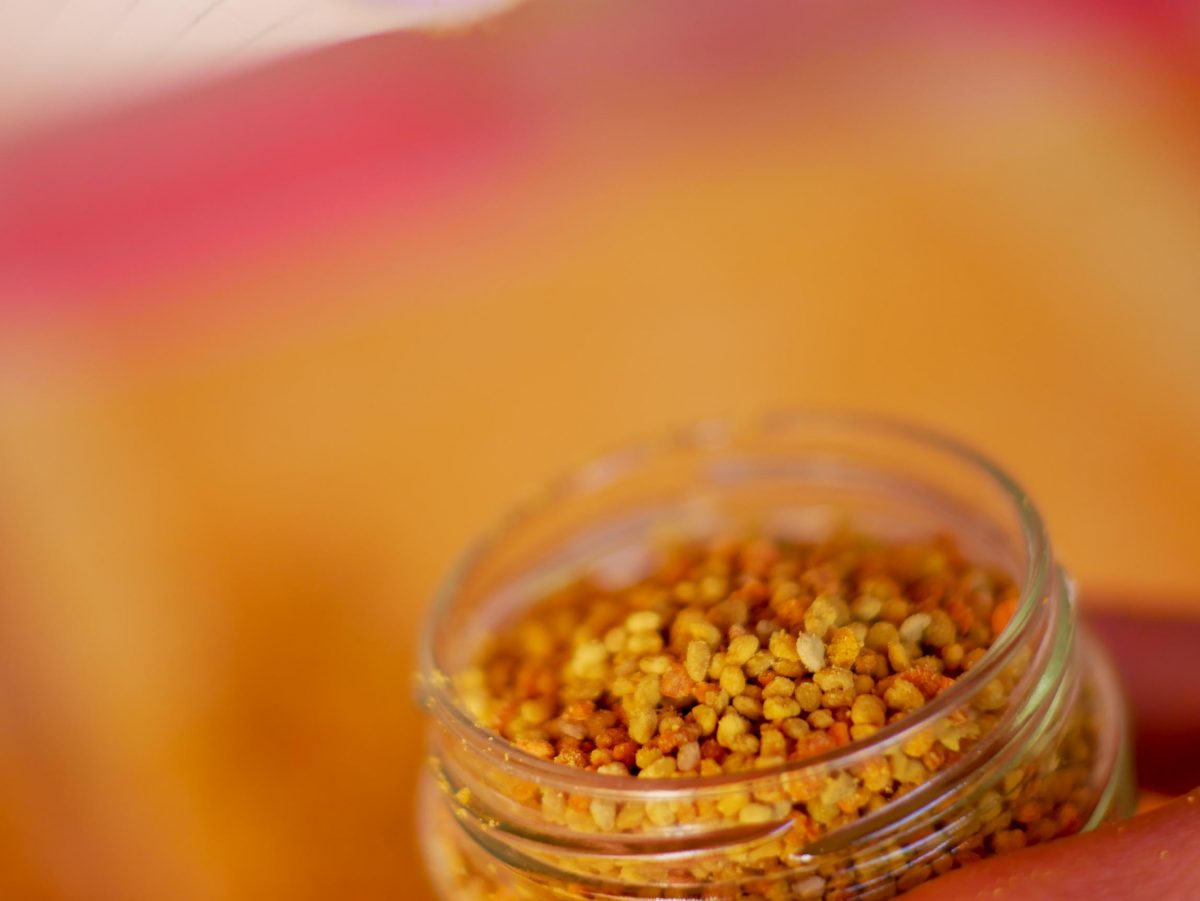 Polline - immagine 2